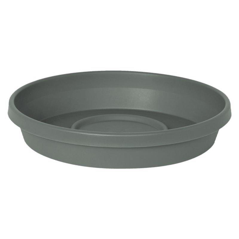 Bloem Terra 1 in. H X 5.5 in. W X 4.75 in. D Plastic Traditional Plant Saucer Basil