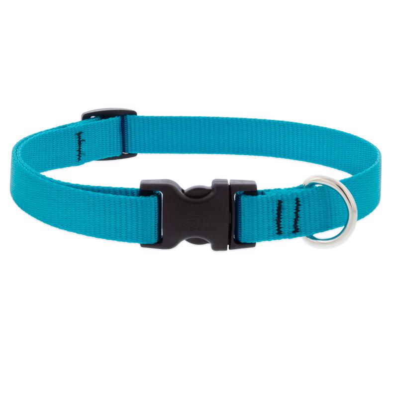 LupinePet Aqua Nylon Dog Adjustable Collar Medium