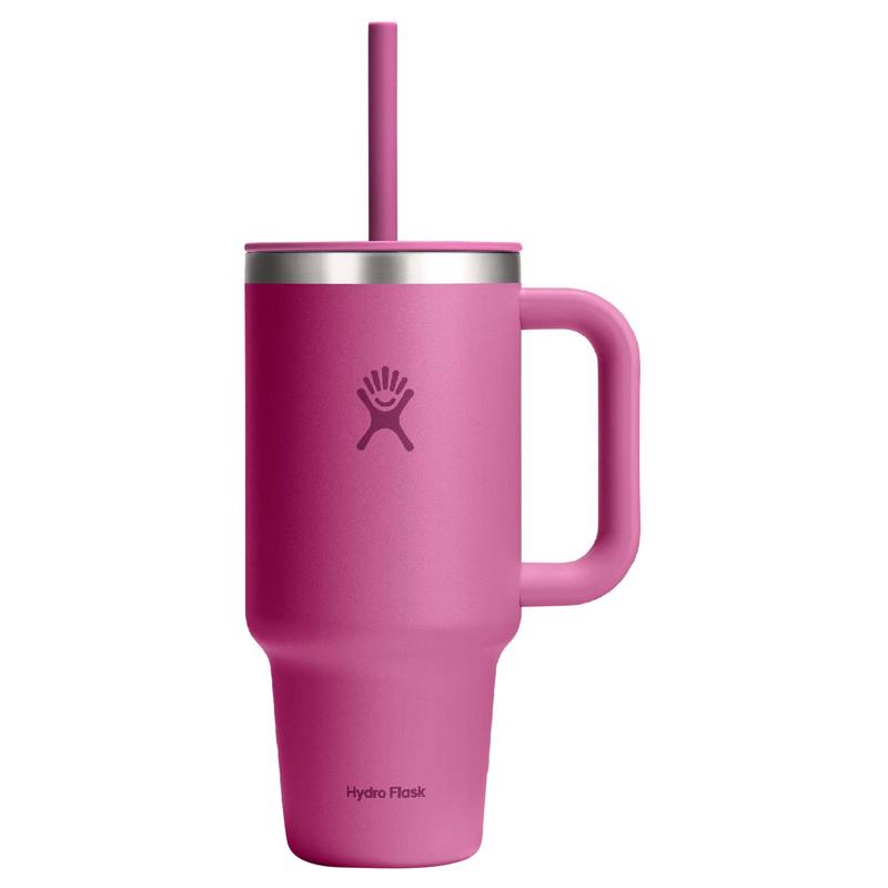 Hydroflask 32 fl. oz. Reef BPA Free Insulated Straw Tumbler