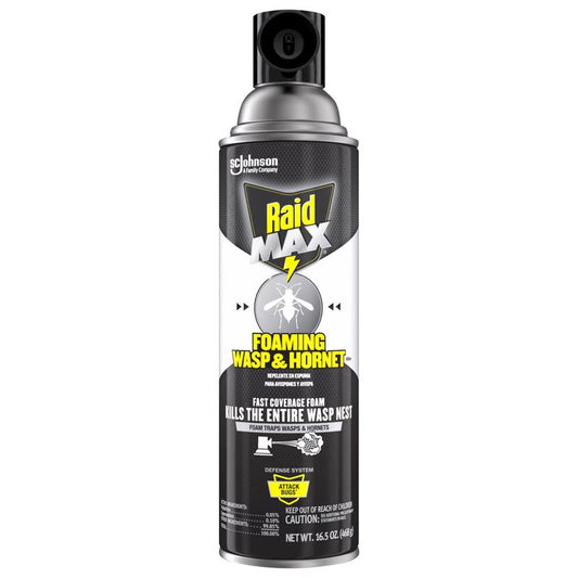 Raid Max Wasp and Hornet Killer Foam 16.5 oz