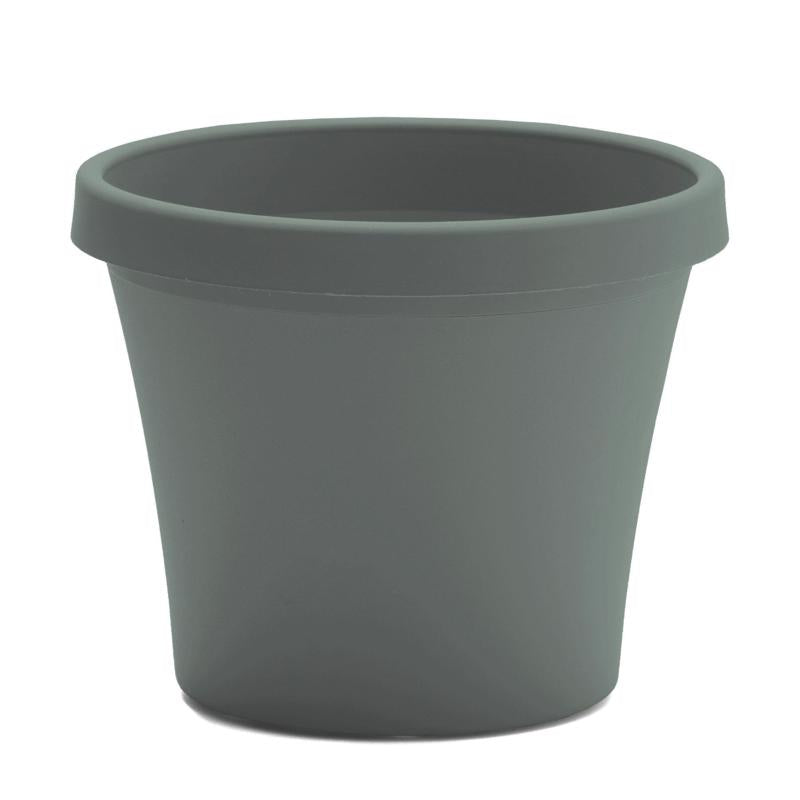 Bloem Terra 3.75 in. H X 4.25 in. W X 3 in. D Plastic Traditional Planter Basil