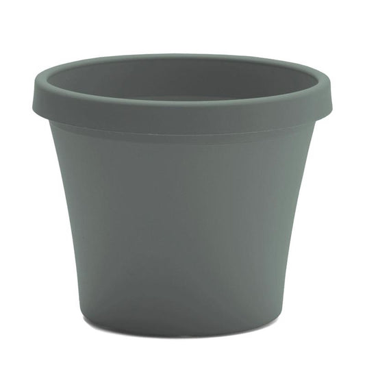 Bloem Terra 3.75 in. H X 4.25 in. W X 3 in. D Plastic Traditional Planter Basil