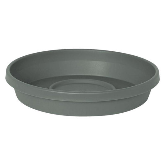 Bloem Terra 1 in. H X 5.5 in. W X 4.75 in. D Plastic Traditional Plant Saucer Basil