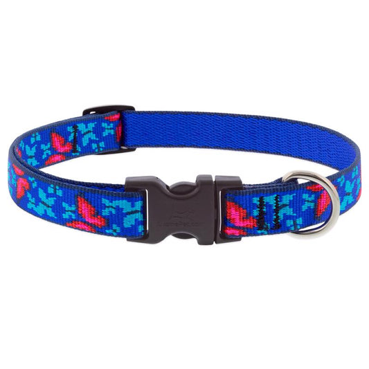 LupinePet Blue/Pink Social Butterfly Nylon Dog Adjustable Collar Small