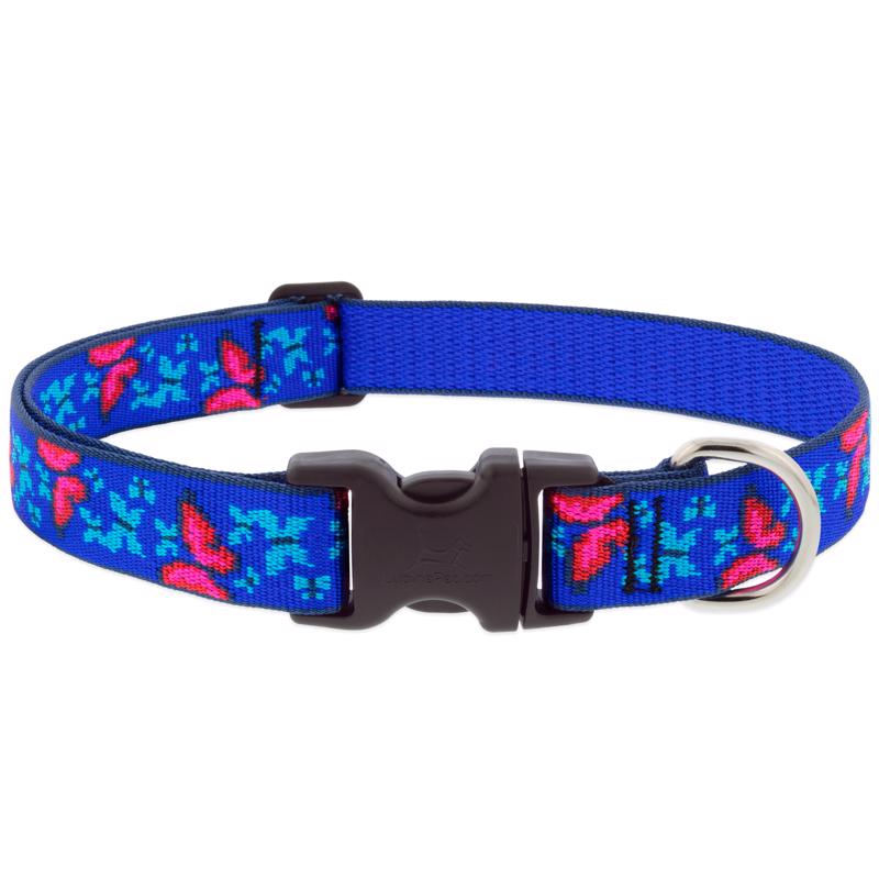 LupinePet Blue/Pink Social Butterfly Nylon Dog Adjustable Collar Medium