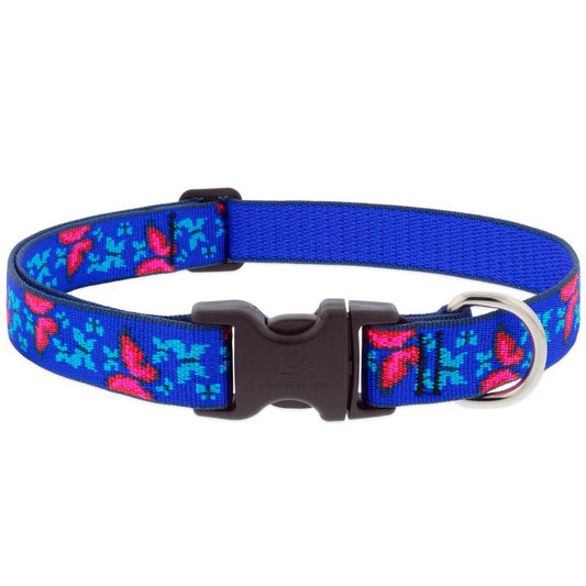 LupinePet Blue/Pink Social Butterfly Nylon Dog Adjustable Collar Medium