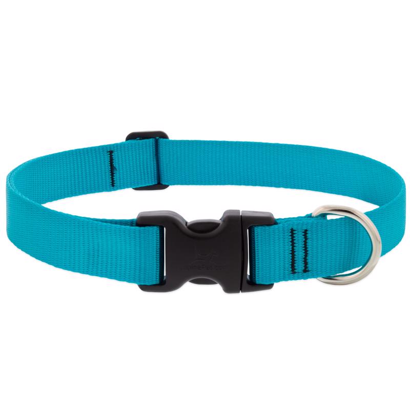 LupinePet Aqua Nylon Dog Adjustable Collar Medium/Large