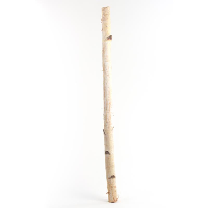 Second Nature Natural Birch Branches 32 in.